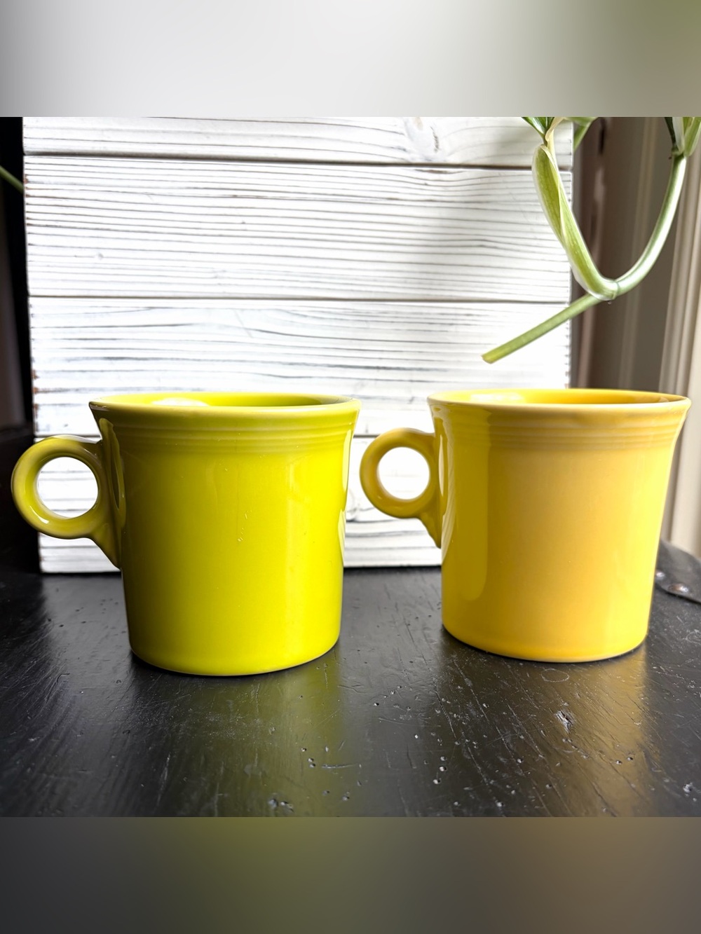 Homer Laughlin Fiesta ware Mugs Cups
Set of 2